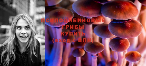 мдма Няндома