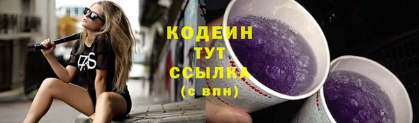 крисы Губаха
