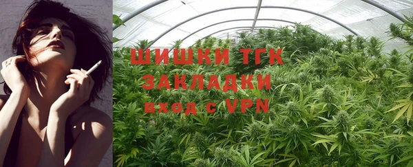 крисы Губаха