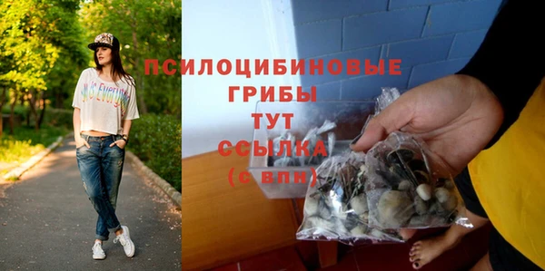 мдма Няндома